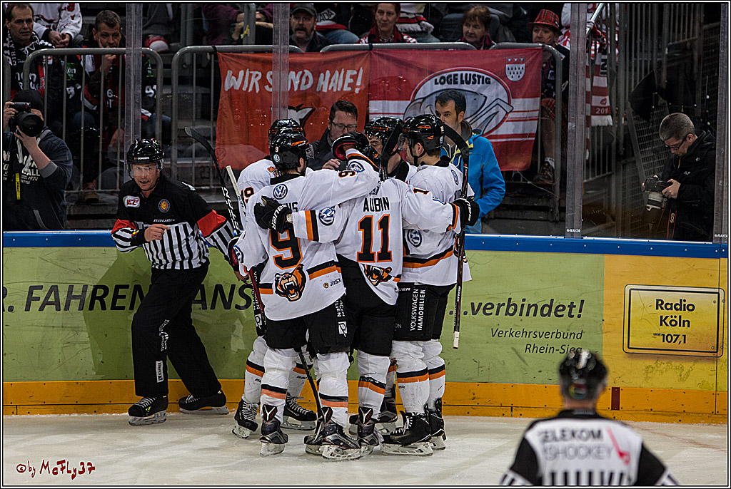 DEL, Koelner Haie - Grizzlys Wolfsburg, 21.02.2017